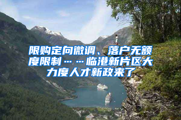 限购定向微调、落户无额度限制……临港新片区大力度人才新政来了