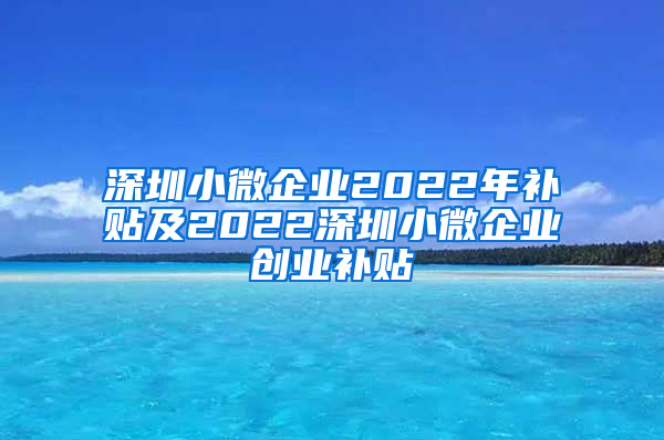 深圳小微企业2022年补贴及2022深圳小微企业创业补贴