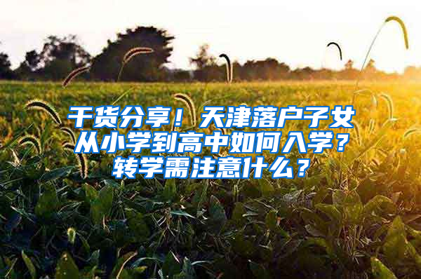 干货分享！天津落户子女从小学到高中如何入学？转学需注意什么？