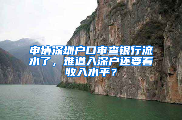 申请深圳户口审查银行流水了，难道入深户还要看收入水平？