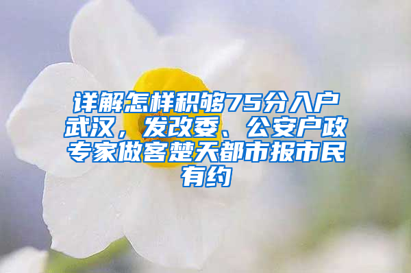 详解怎样积够75分入户武汉，发改委、公安户政专家做客楚天都市报市民有约