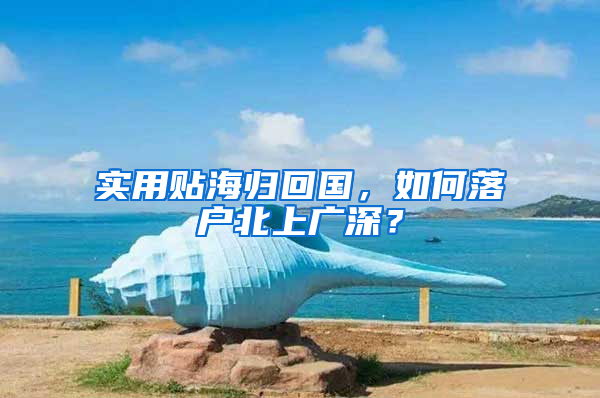 实用贴海归回国，如何落户北上广深？