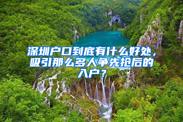 深圳户口到底有什么好处，吸引那么多人争先抢后的入户？