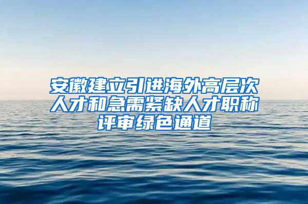 安徽建立引进海外高层次人才和急需紧缺人才职称评审绿色通道