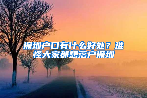 深圳户口有什么好处？难怪大家都想落户深圳