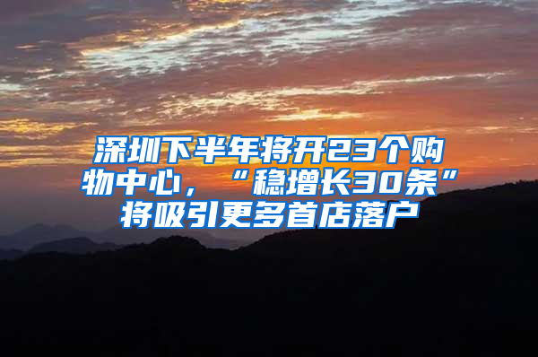 深圳下半年将开23个购物中心，“稳增长30条”将吸引更多首店落户