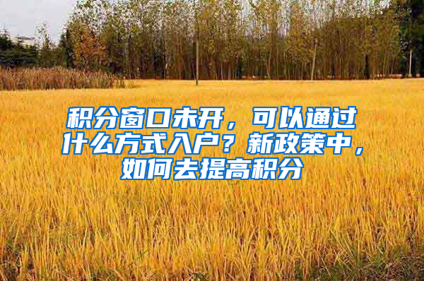 积分窗口未开，可以通过什么方式入户？新政策中，如何去提高积分