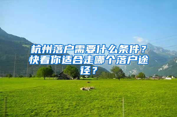 杭州落户需要什么条件？快看你适合走哪个落户途径？