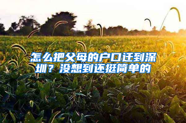 怎么把父母的户口迁到深圳？没想到还挺简单的