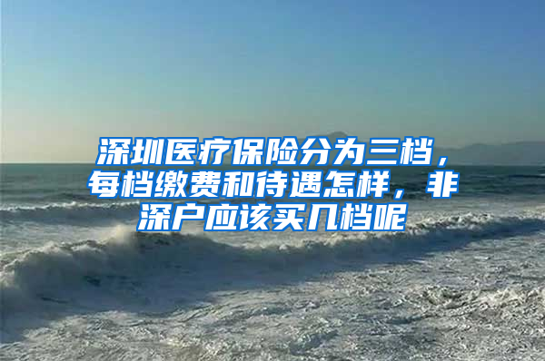 深圳医疗保险分为三档，每档缴费和待遇怎样，非深户应该买几档呢