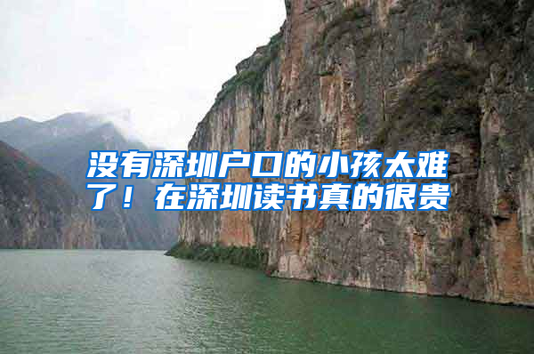 没有深圳户口的小孩太难了！在深圳读书真的很贵