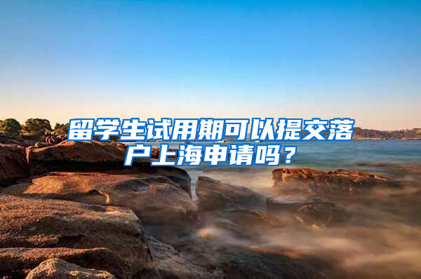 留学生试用期可以提交落户上海申请吗？