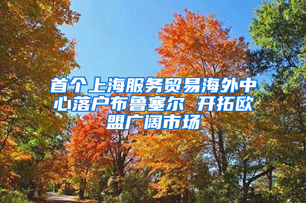 首个上海服务贸易海外中心落户布鲁塞尔 开拓欧盟广阔市场