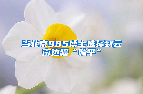 当北京985博士选择到云南边疆“躺平”