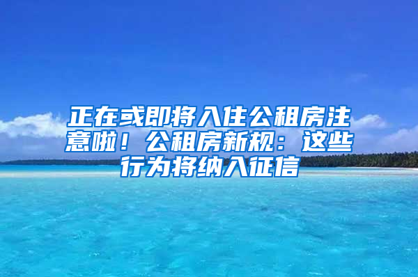 正在或即将入住公租房注意啦！公租房新规：这些行为将纳入征信