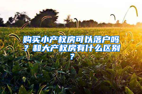 购买小产权房可以落户吗？和大产权房有什么区别？