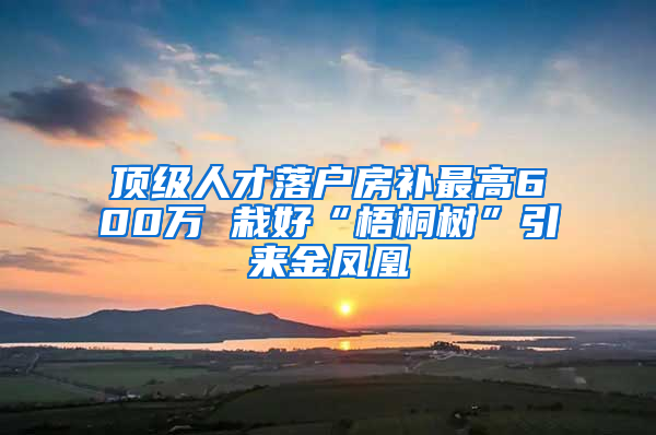 顶级人才落户房补最高600万 栽好“梧桐树”引来金凤凰