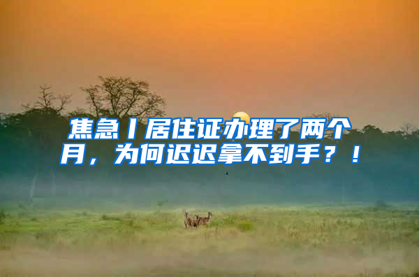 焦急丨居住证办理了两个月，为何迟迟拿不到手？！