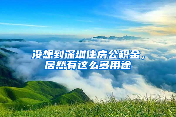 没想到深圳住房公积金，居然有这么多用途