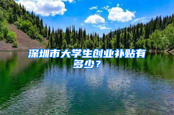 深圳市大学生创业补贴有多少？