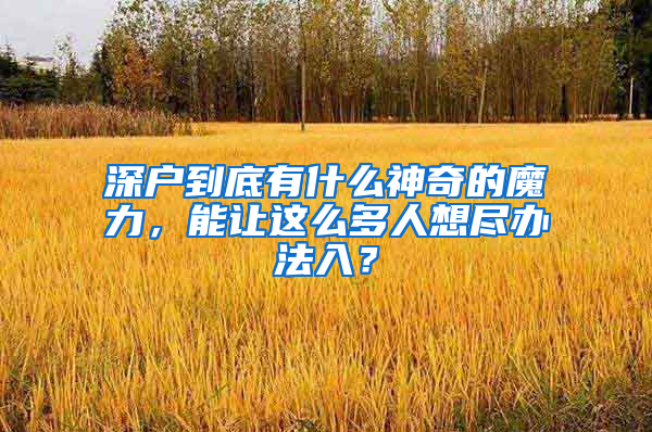 深户到底有什么神奇的魔力，能让这么多人想尽办法入？