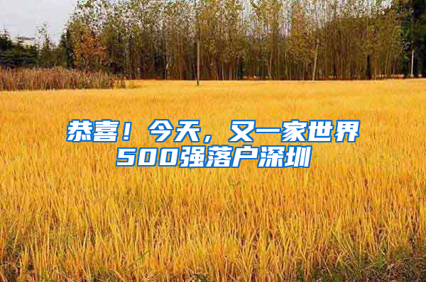 恭喜！今天，又一家世界500强落户深圳