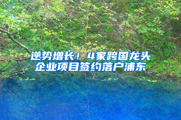 逆势增长！4家跨国龙头企业项目签约落户浦东