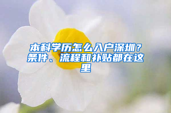 本科学历怎么入户深圳？条件、流程和补贴都在这里