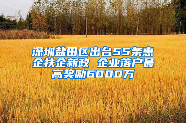 深圳盐田区出台55条惠企扶企新政 企业落户最高奖励6000万