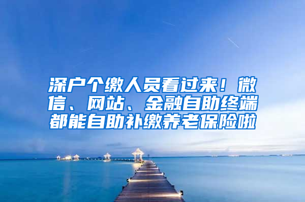 深户个缴人员看过来！微信、网站、金融自助终端都能自助补缴养老保险啦