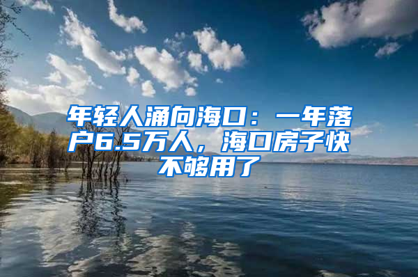 年轻人涌向海口：一年落户6.5万人，海口房子快不够用了