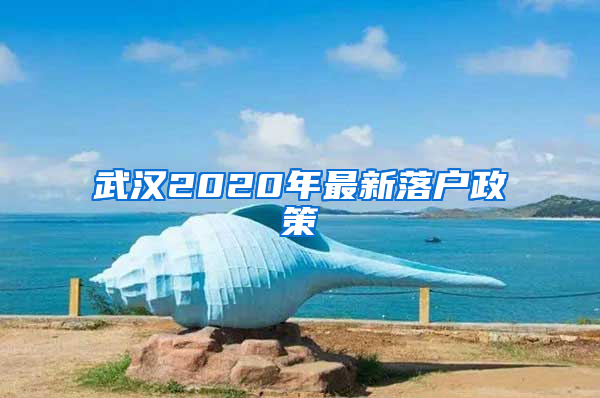 武汉2020年最新落户政策