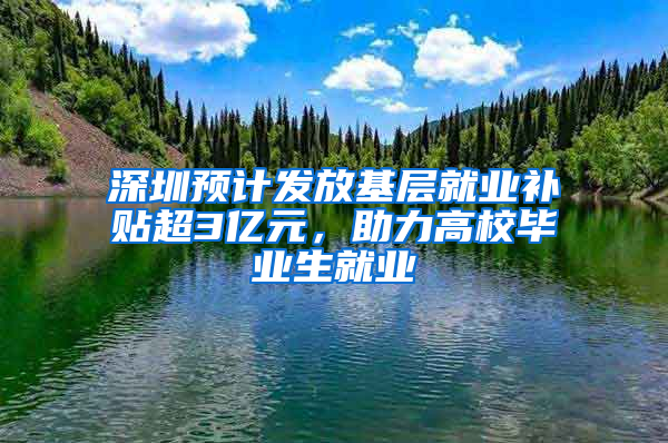 深圳预计发放基层就业补贴超3亿元，助力高校毕业生就业