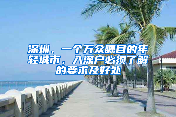 深圳，一个万众瞩目的年轻城市，入深户必须了解的要求及好处