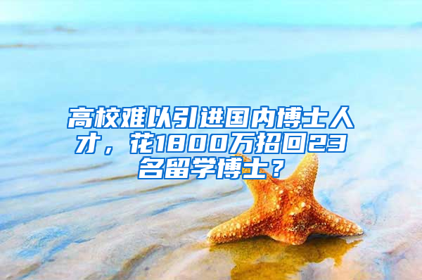 高校难以引进国内博士人才，花1800万招回23名留学博士？