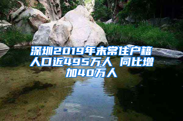 深圳2019年末常住户籍人口近495万人 同比增加40万人