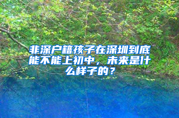 非深户籍孩子在深圳到底能不能上初中，未来是什么样子的？