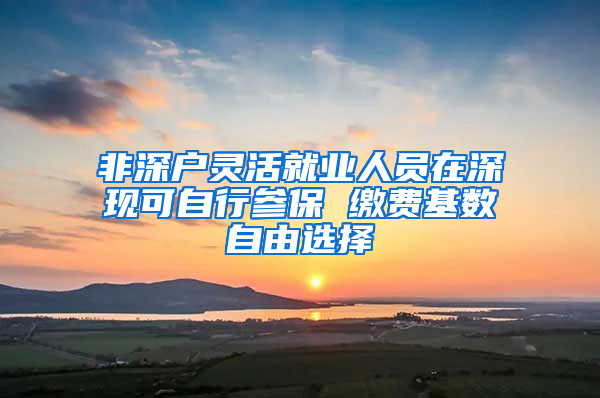 非深户灵活就业人员在深现可自行参保 缴费基数自由选择