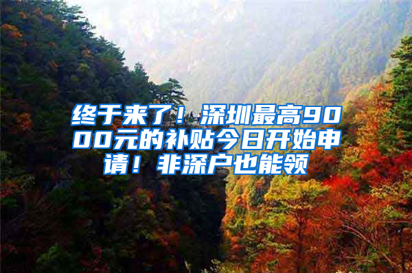 终于来了！深圳最高9000元的补贴今日开始申请！非深户也能领