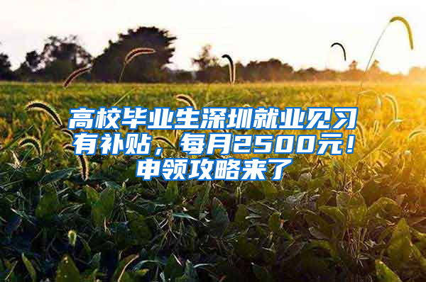 高校毕业生深圳就业见习有补贴，每月2500元！申领攻略来了