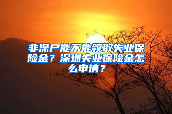 非深户能不能领取失业保险金？深圳失业保险金怎么申请？