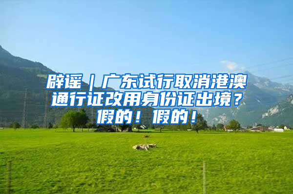 辟谣｜广东试行取消港澳通行证改用身份证出境？假的！假的！