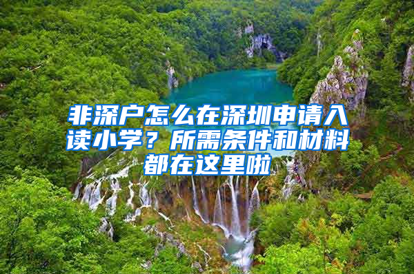 非深户怎么在深圳申请入读小学？所需条件和材料都在这里啦