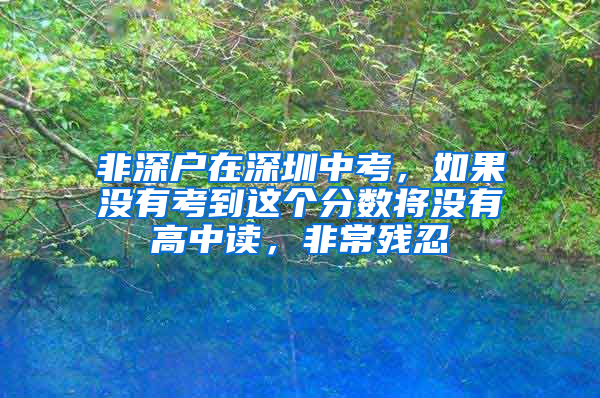 非深户在深圳中考，如果没有考到这个分数将没有高中读，非常残忍