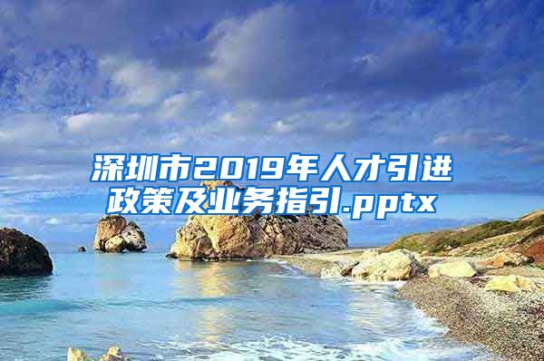 深圳市2019年人才引进政策及业务指引.pptx