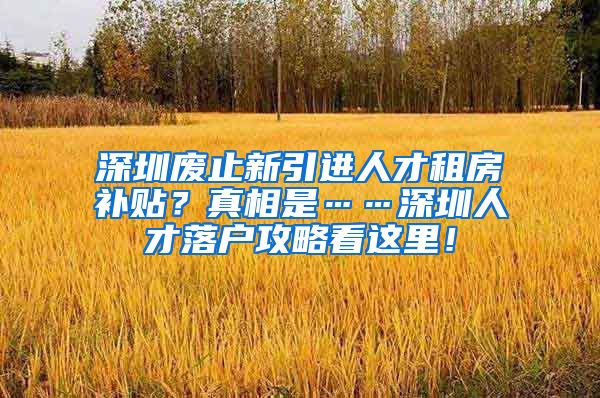 深圳废止新引进人才租房补贴？真相是……深圳人才落户攻略看这里！