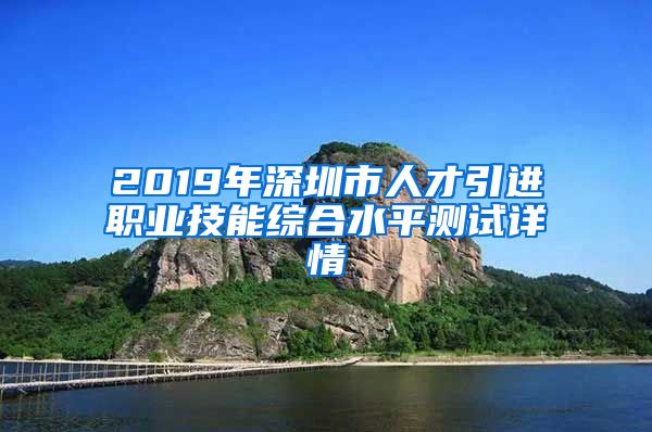 2019年深圳市人才引进职业技能综合水平测试详情