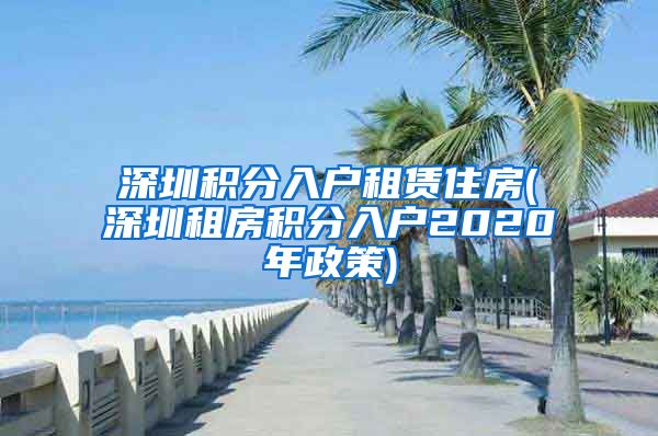 深圳积分入户租赁住房(深圳租房积分入户2020年政策)