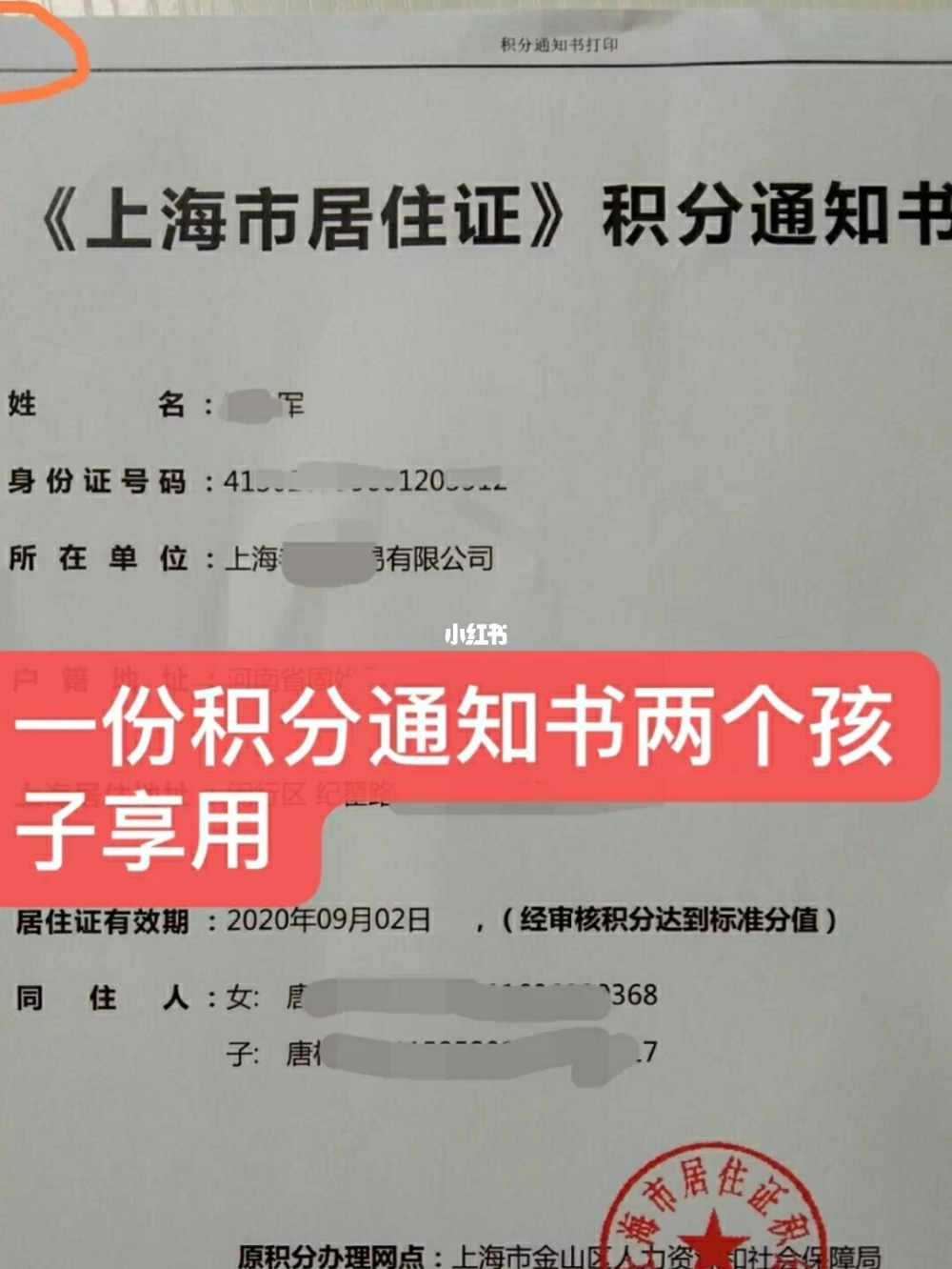 2022年深圳市积分入户调令已出怎样撤消_积分入户拿到调令后_深圳积分入户调令背面