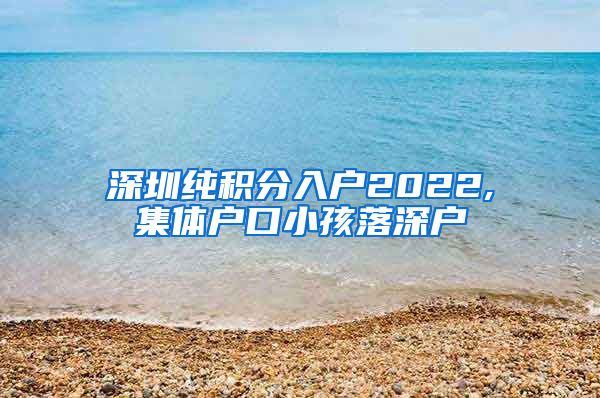 深圳纯积分入户2022,集体户口小孩落深户